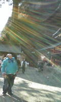 oosawa